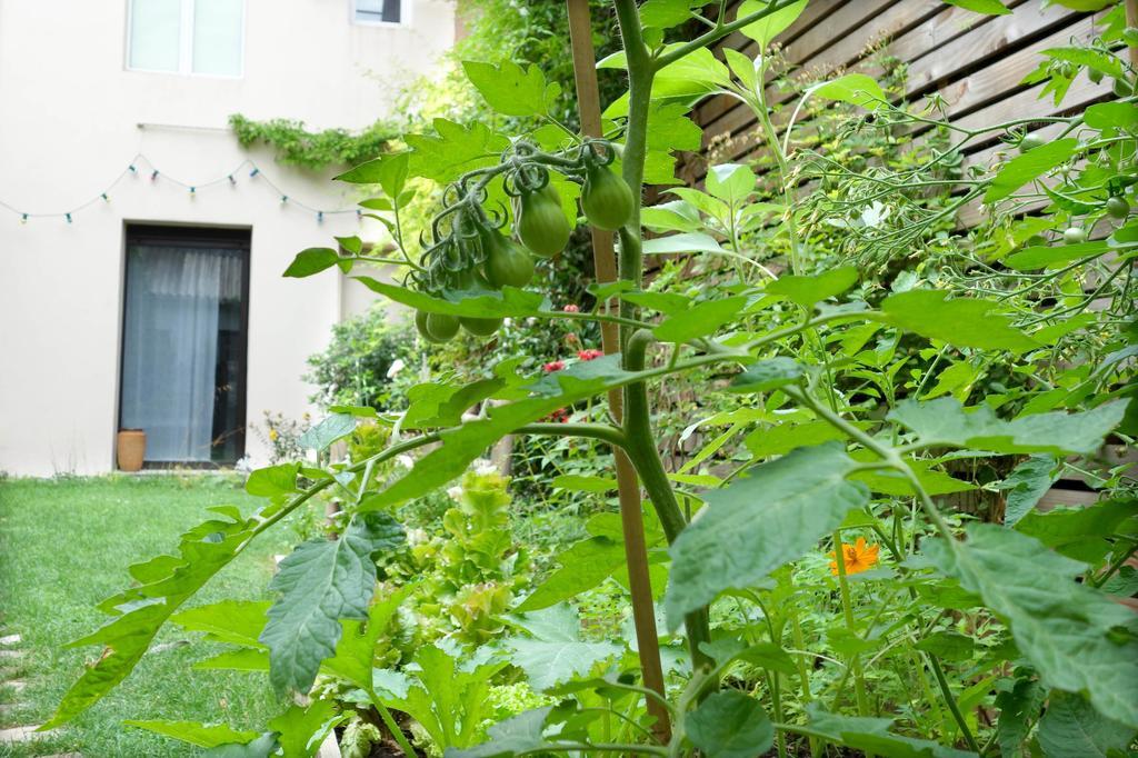 La Campagne A Paris B&B Exteriör bild